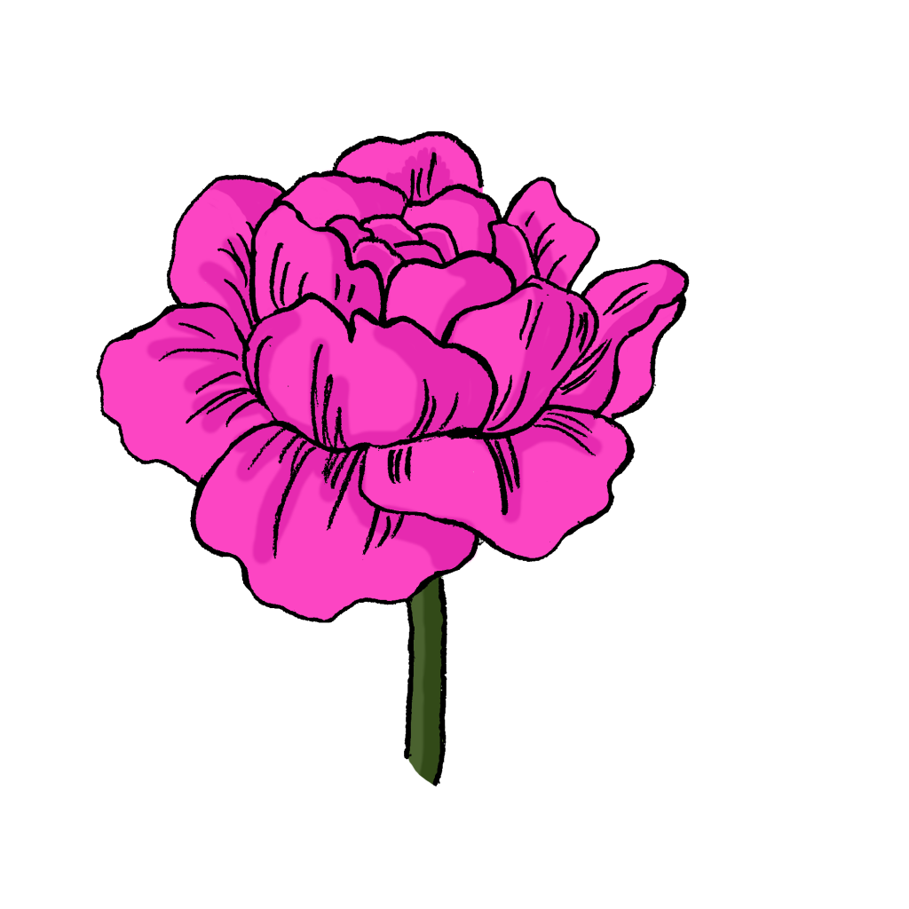 pivoine